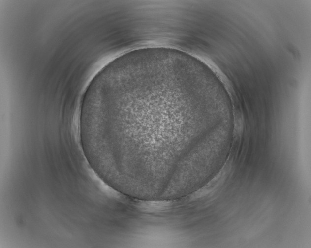 X0000111871294200908131603