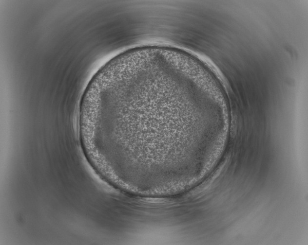 X0000111871295200908131603