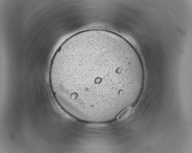 X0000111871296200908131603