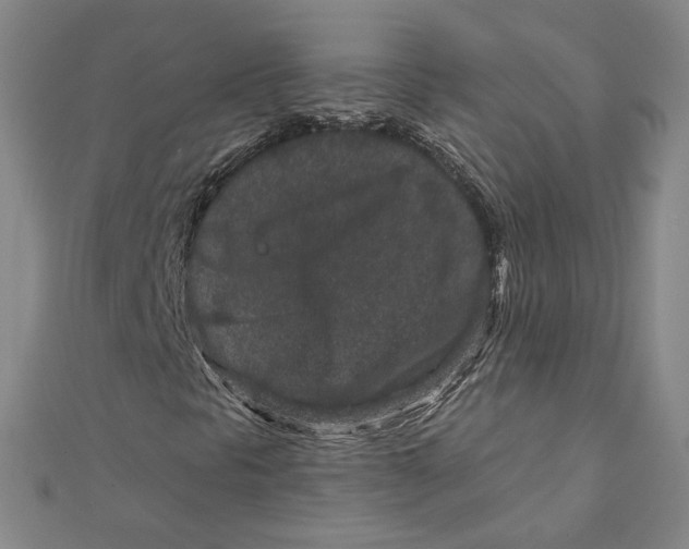 X0000111871297200908131603