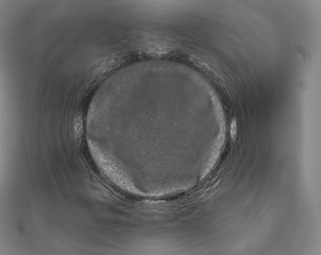 X0000111871299200908131603