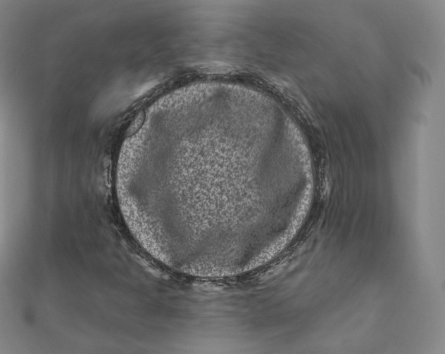 X0000111871301200908131603