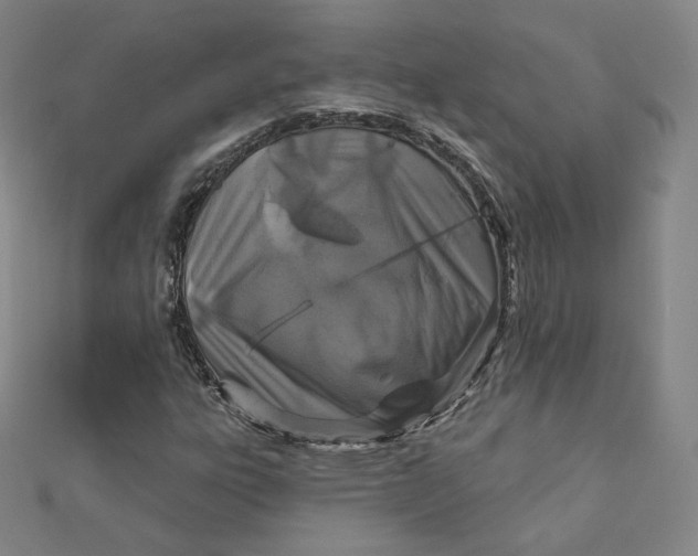 X0000111871303200908131603