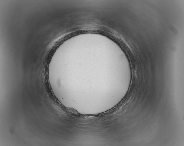 X0000111871304200908131603