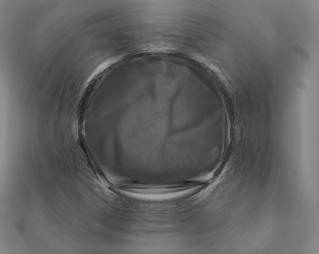 X0000111871306200908131603