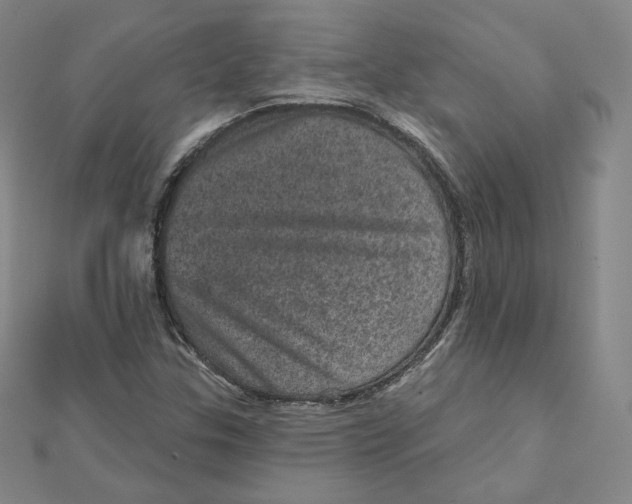 X0000111871307200908131603