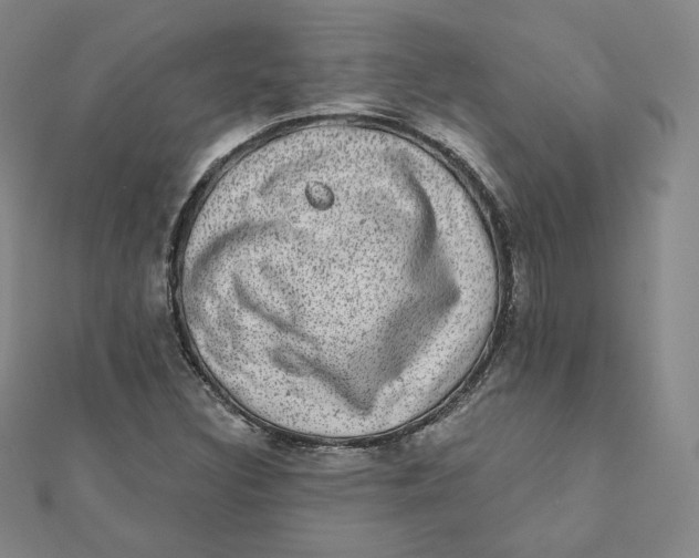 X0000111871308200908131603