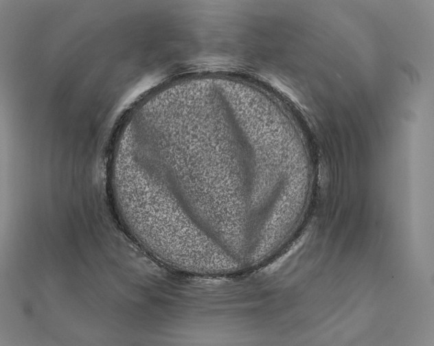 X0000111871309200908131603