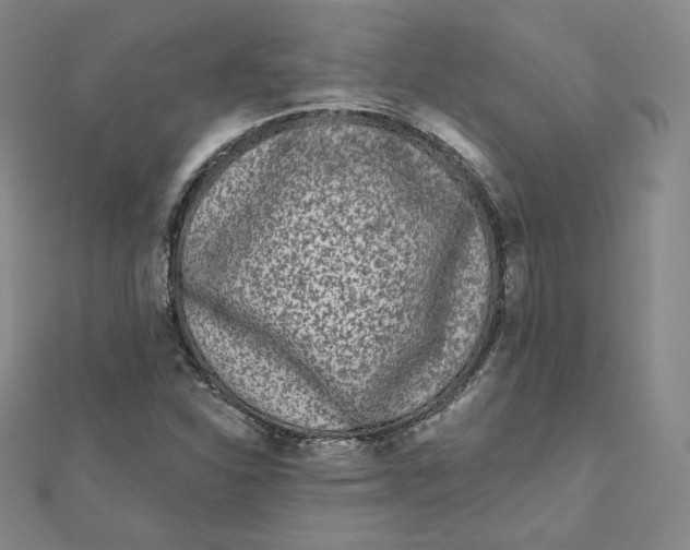 X0000111871310200908131603