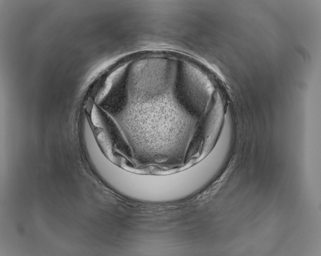 X0000111871311200908131603