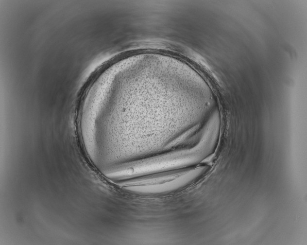 X0000111871312200908131603