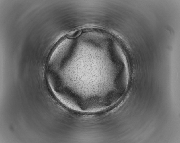 X0000111871313200908131603