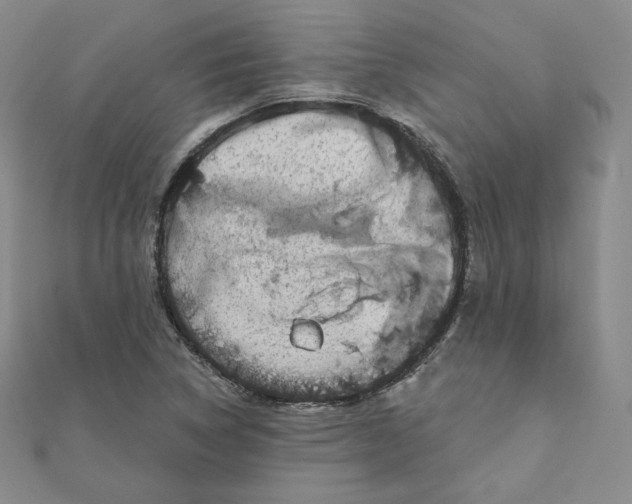 X0000111871314200908131603