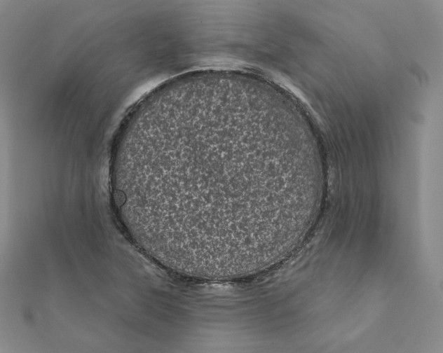 X0000111871315200908131603