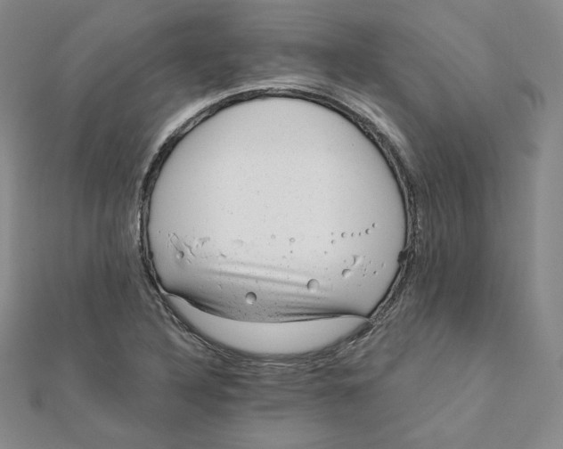 X0000111871316200908131603