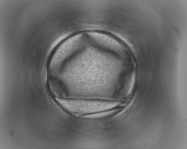 X0000111871317200908131603