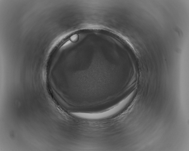 X0000111871319200908131603