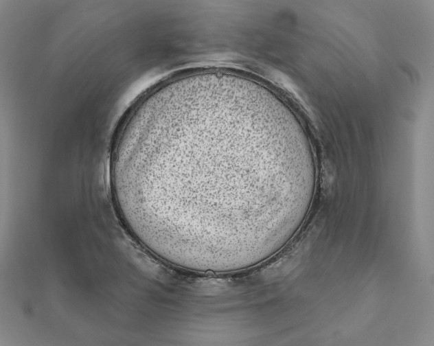 X0000111871320200908131603