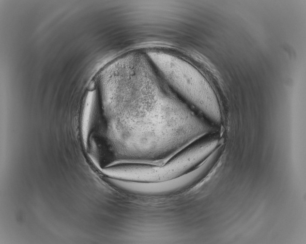 X0000111871321200908131603