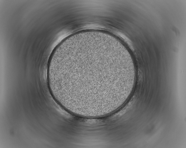 X0000111871322200908131603