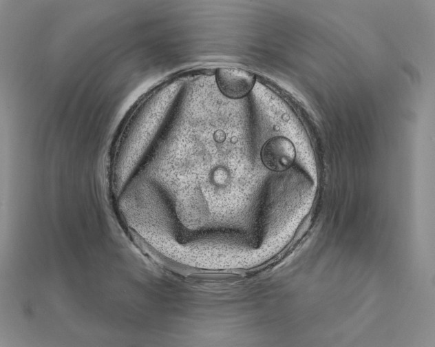 X0000111871325200908131603