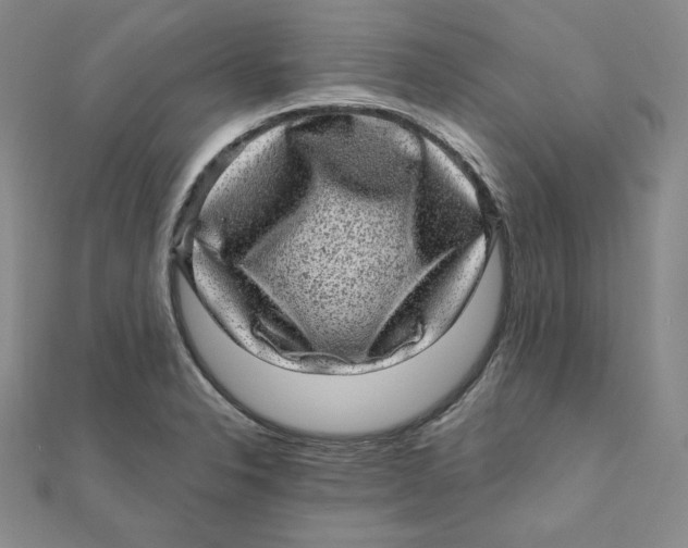 X0000111871326200908131603