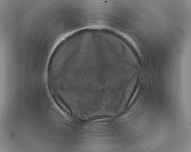 X0000111871327200908131603