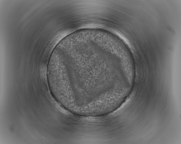 X0000111871329200908131603