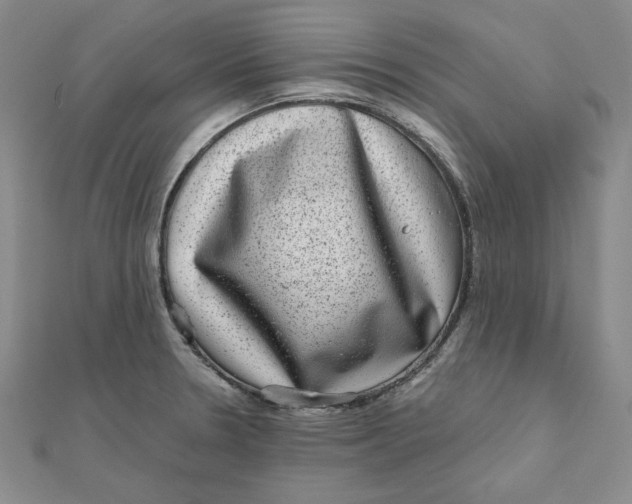 X0000111871330200908131603