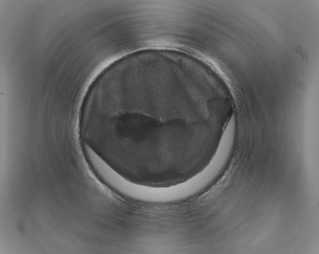 X0000111871331200908131603