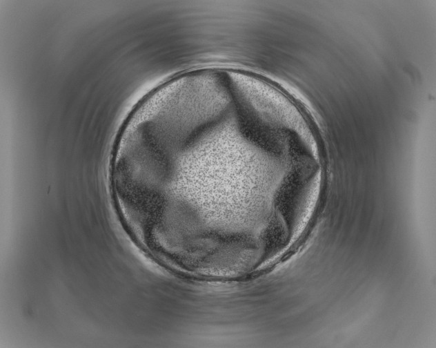 X0000111871333200908131603