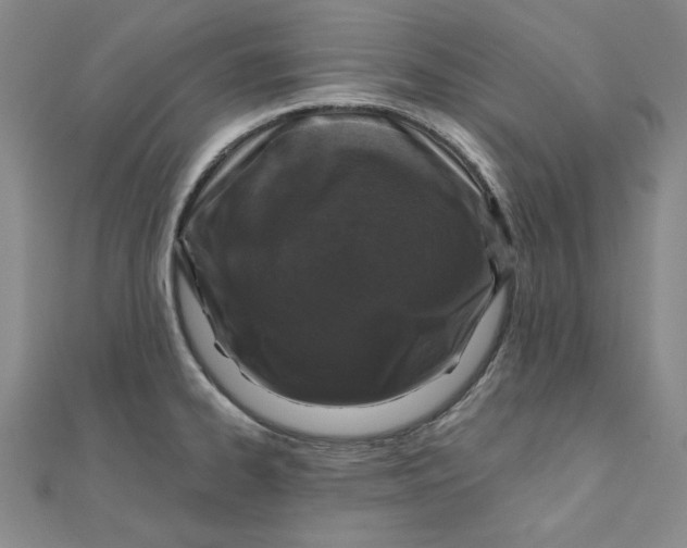 X0000111871334200908131603