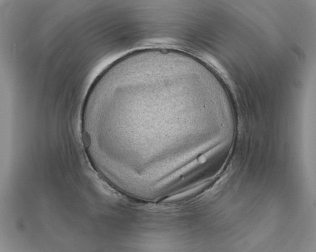 X0000111871336200908131603