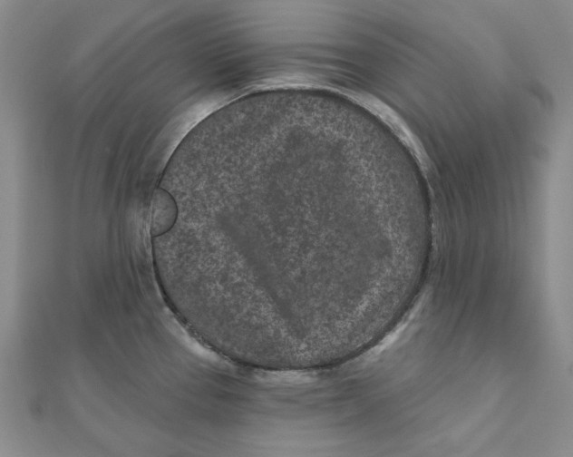 X0000111871337200908131603