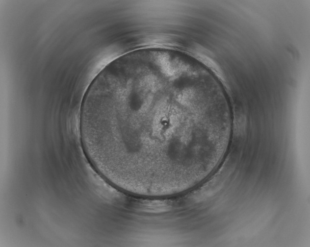 X0000111871338200908131603