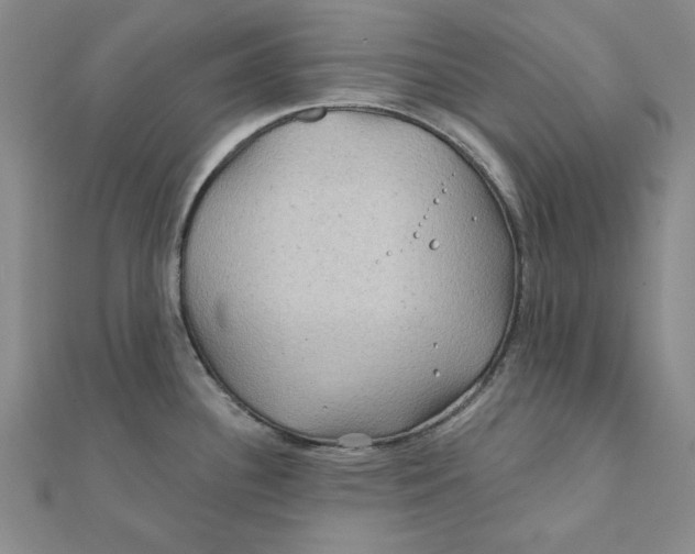 X0000111871340200908131603