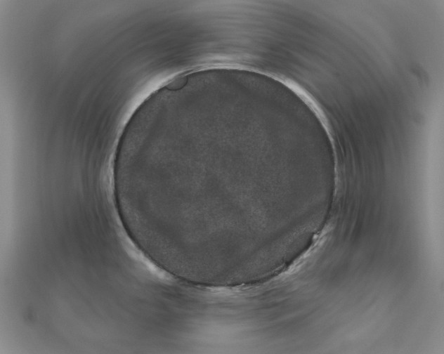 X0000111871341200908131603