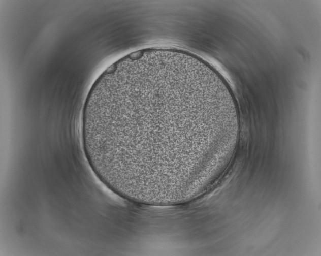 X0000111871343200908131603