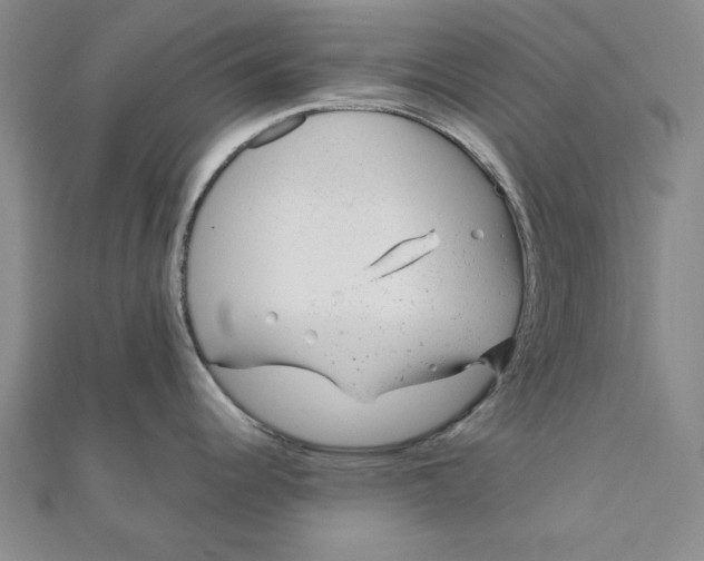 X0000111871344200908131603