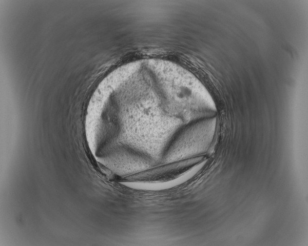 X0000111871345200908131603