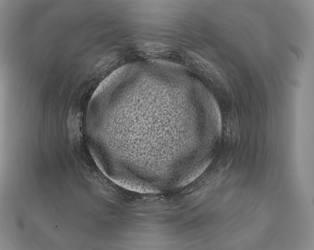 X0000111871346200908131603