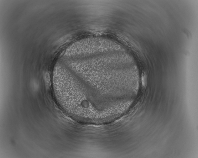 X0000111871347200908131603