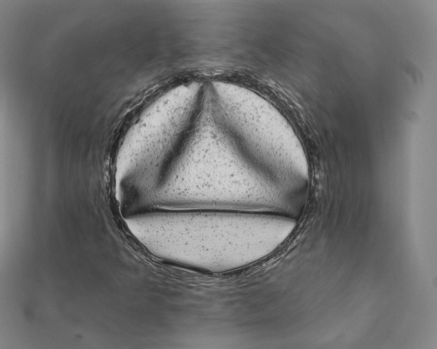 X0000111871349200908131602