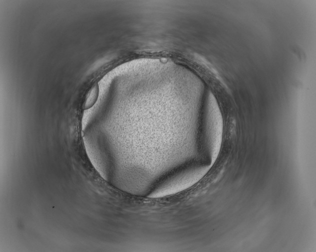 X0000111871350200908131602