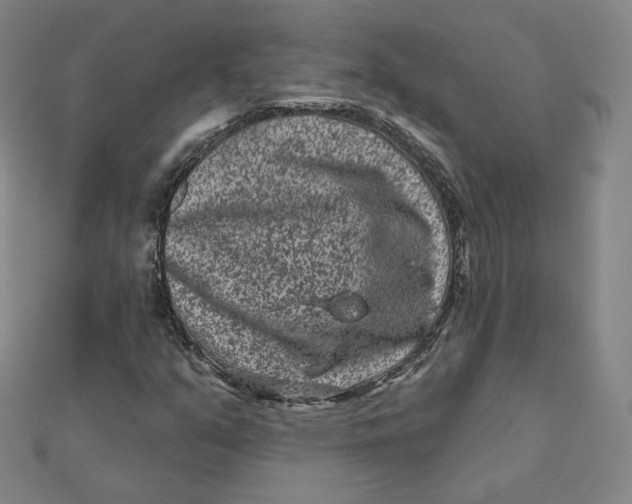 X0000111871351200908131602