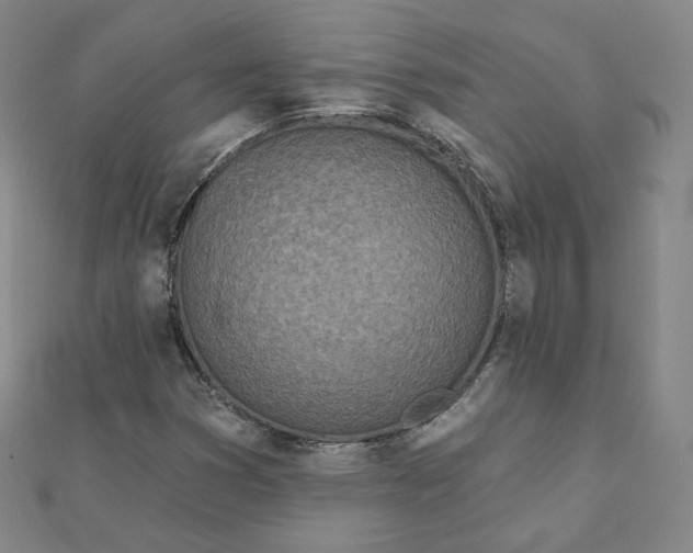 X0000111871353200908131602