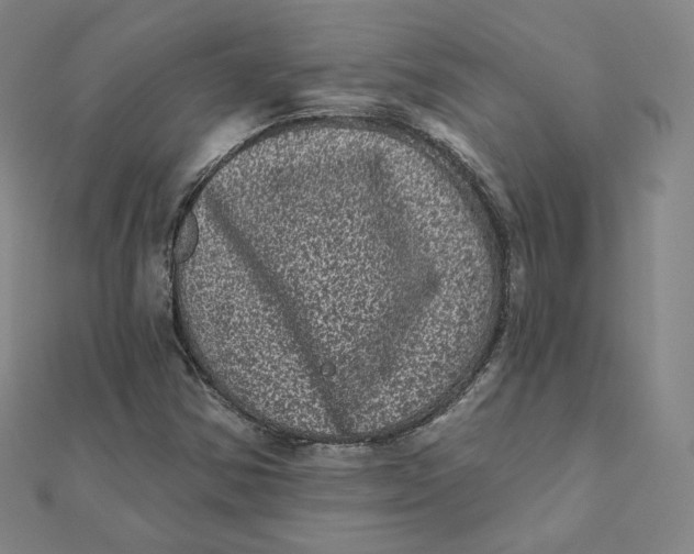 X0000111871354200908131602