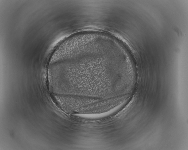 X0000111871355200908131602