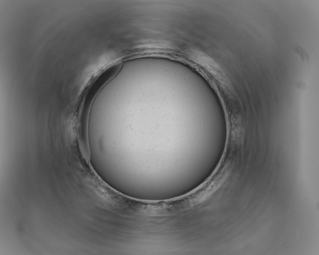 X0000111871357200908131602