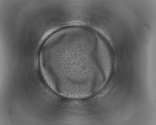 X0000111871358200908131602